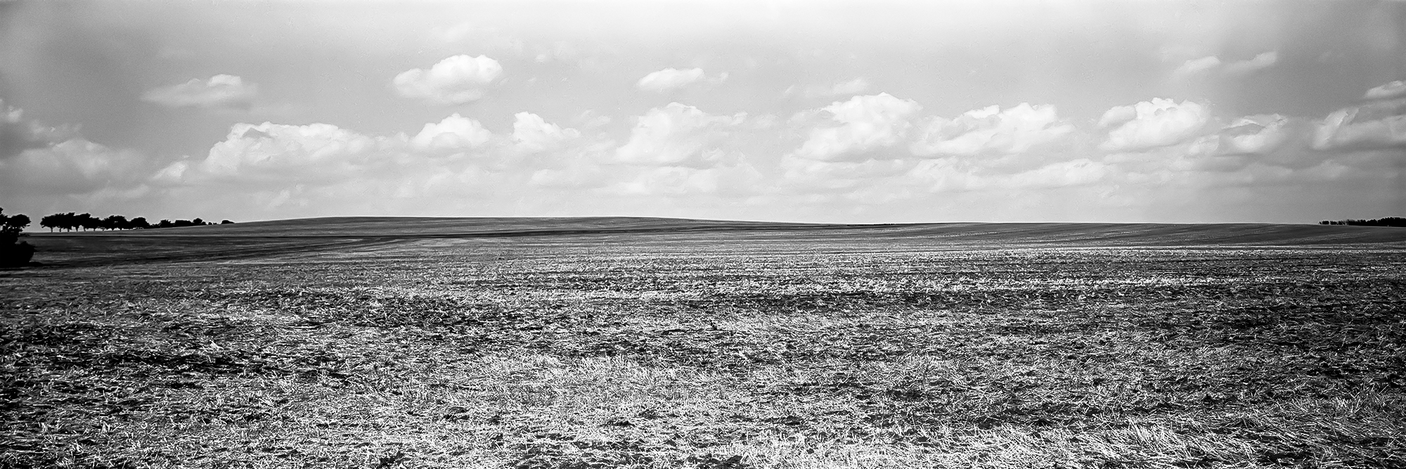Landschaftspanorama 6x17 analog schwarzweiss