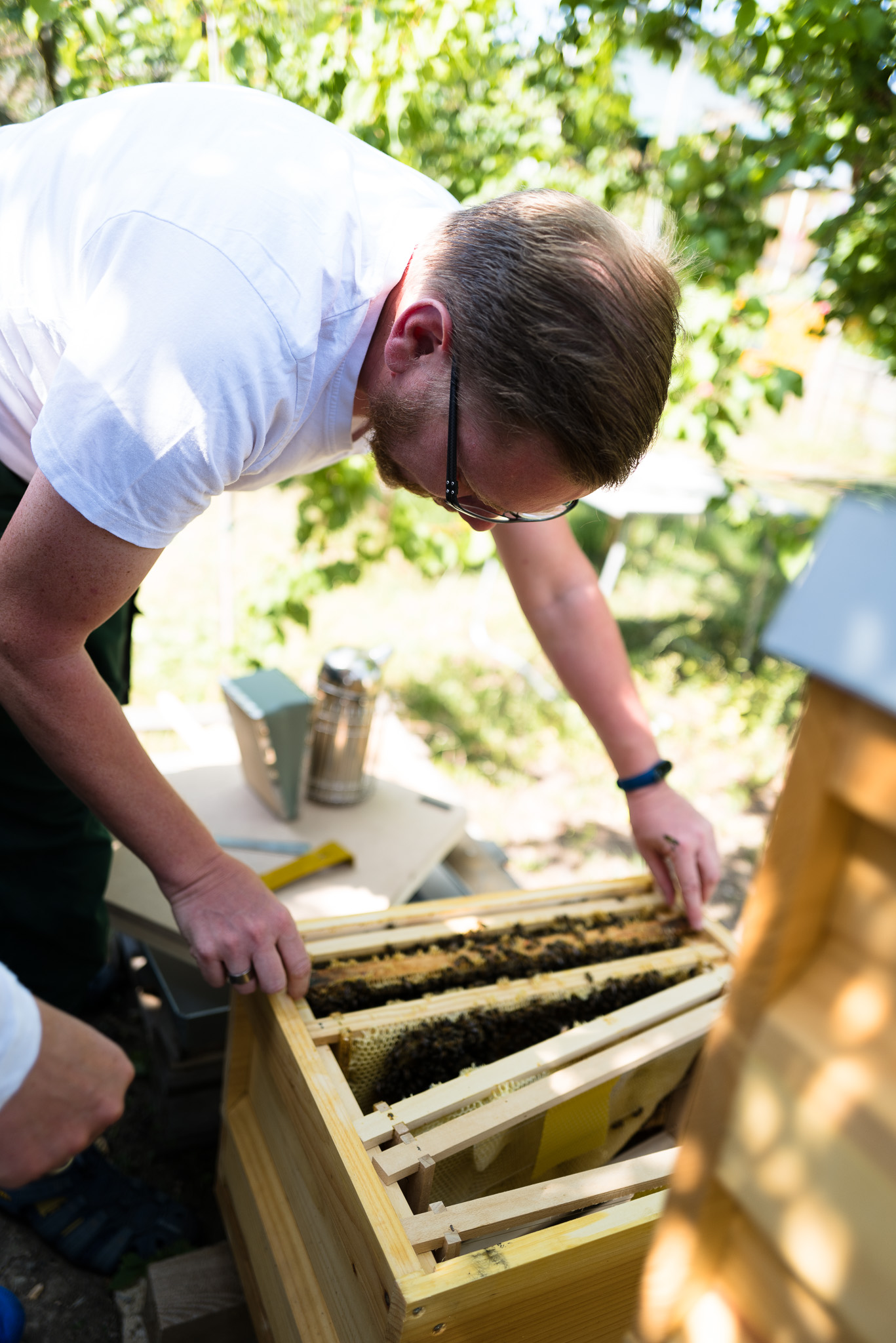 Imker - Ueberpruefung der Bienenstoecke